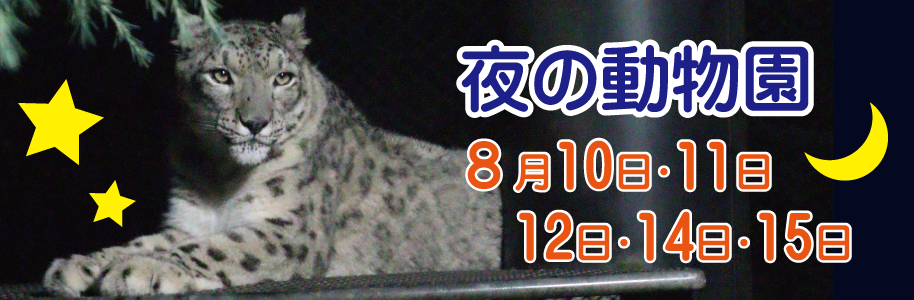 夜の動物園は8月10日から15日(13日を除く)に開催