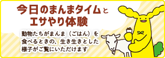 今日のまんまタイムとエサやり体験。動物たちがまんま（ごはん）を食べるときの、生き生きとした様子がご覧いただけます