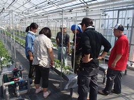 写真:1号ハウス見学