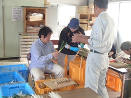 写真:ねぎ調製作業2