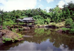 写真：日本庭園