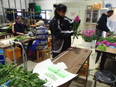 写真：新規就農研修4