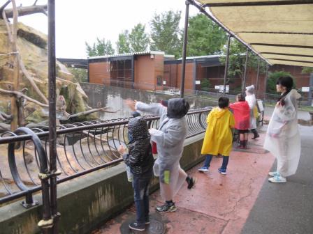 写真　大森山動物園