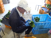 写真5月12