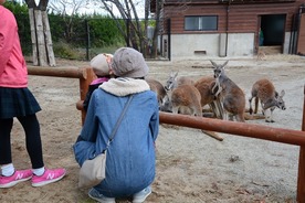 写真：カンガルーと話しているような親子