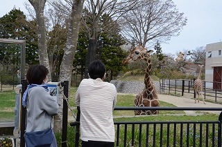 写真：園内の様子