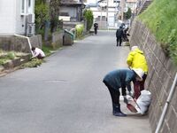 写真：相染町二区町内会清掃活動の様子