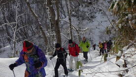 写真：妙見登山の様子