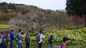 活動の様子：花公園