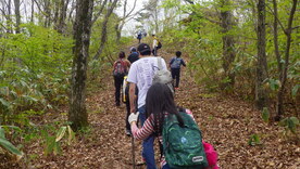 活動の様子：妙見登山