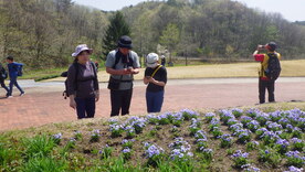 活動の様子:花公園