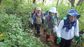 活動の様子：登山道3
