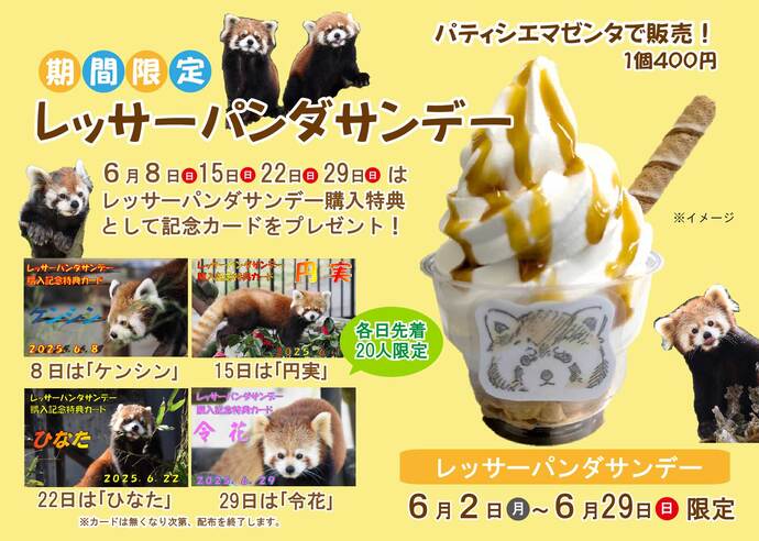 画像：レッサーパンダサンデー