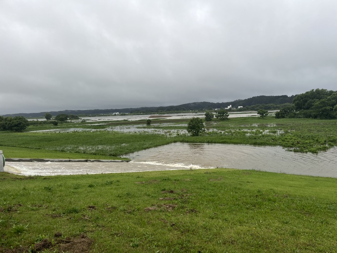 古川排水樋門排水状況5