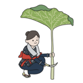 秋田おばこと秋田蕗カラー